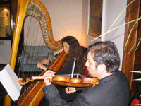 arpa e violino